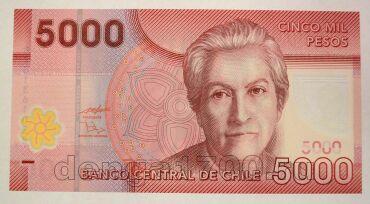 ���� 5000 ���� 2009� �������, UNC, #l911-0659-03